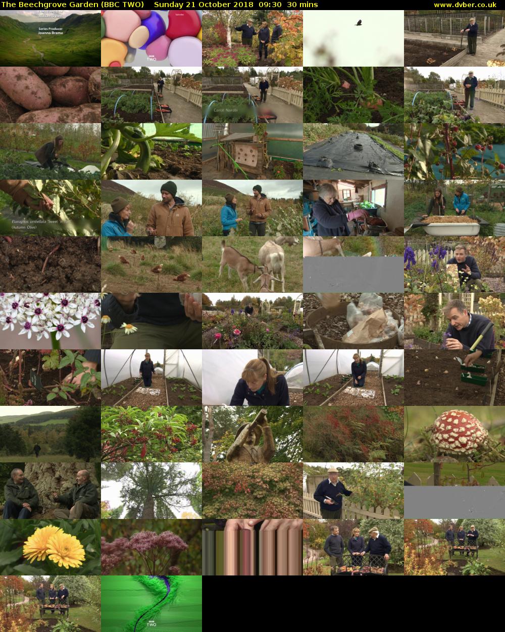 The Beechgrove Garden (BBC TWO) Sunday 21 October 2018 09:30 - 10:00