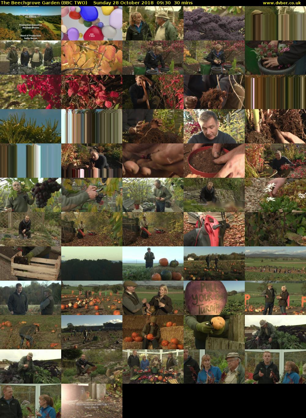 The Beechgrove Garden (BBC TWO) Sunday 28 October 2018 09:30 - 10:00