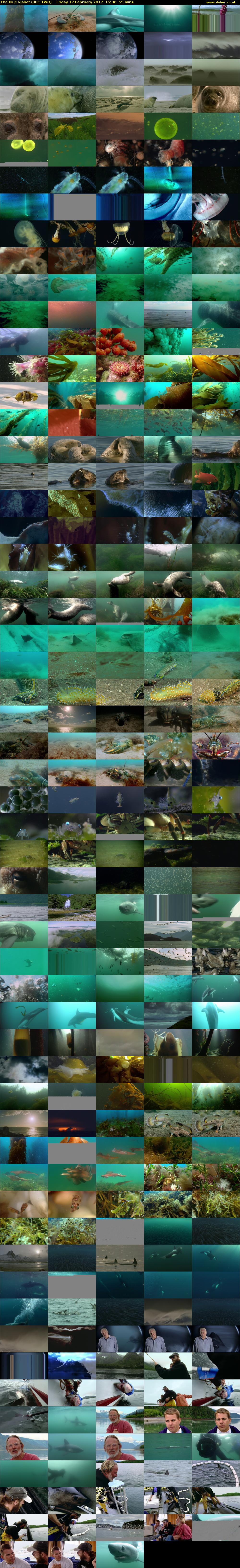 The Blue Planet (BBC TWO) Friday 17 February 2017 15:30 - 16:25