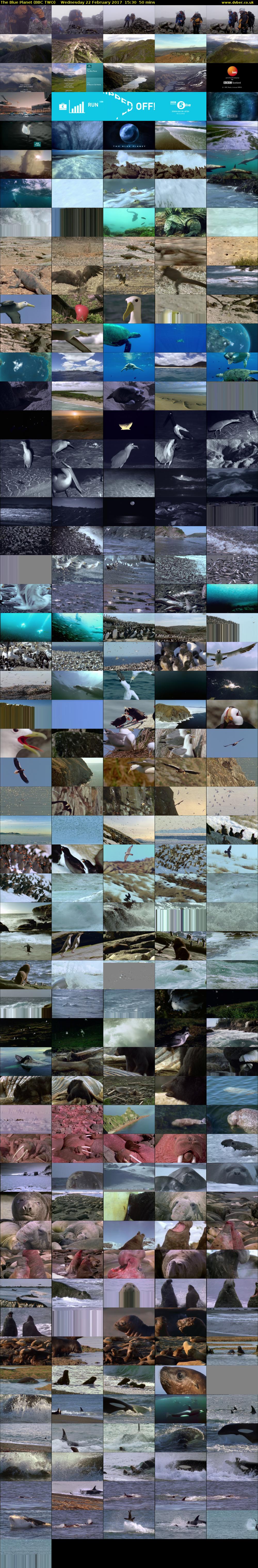 The Blue Planet (BBC TWO) Wednesday 22 February 2017 15:30 - 16:20