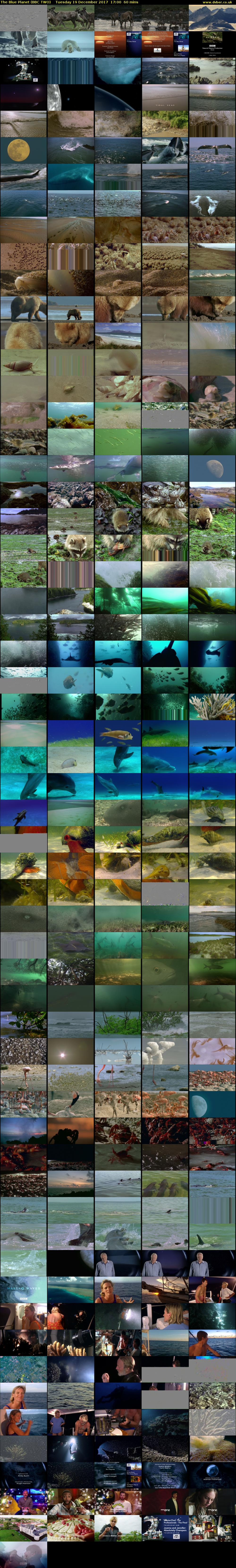 The Blue Planet (BBC TWO) Tuesday 19 December 2017 17:00 - 18:00