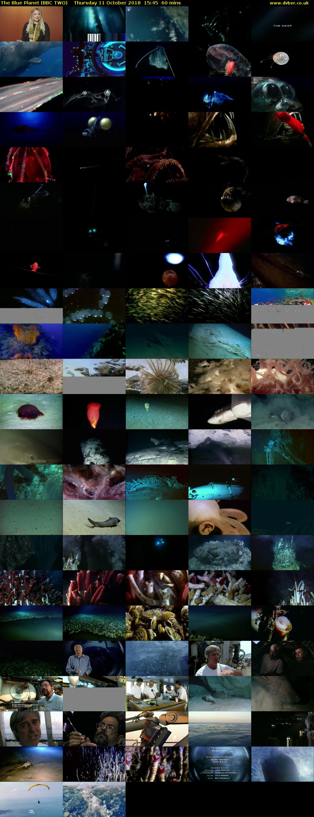 The Blue Planet (BBC TWO) Thursday 11 October 2018 15:45 - 16:45