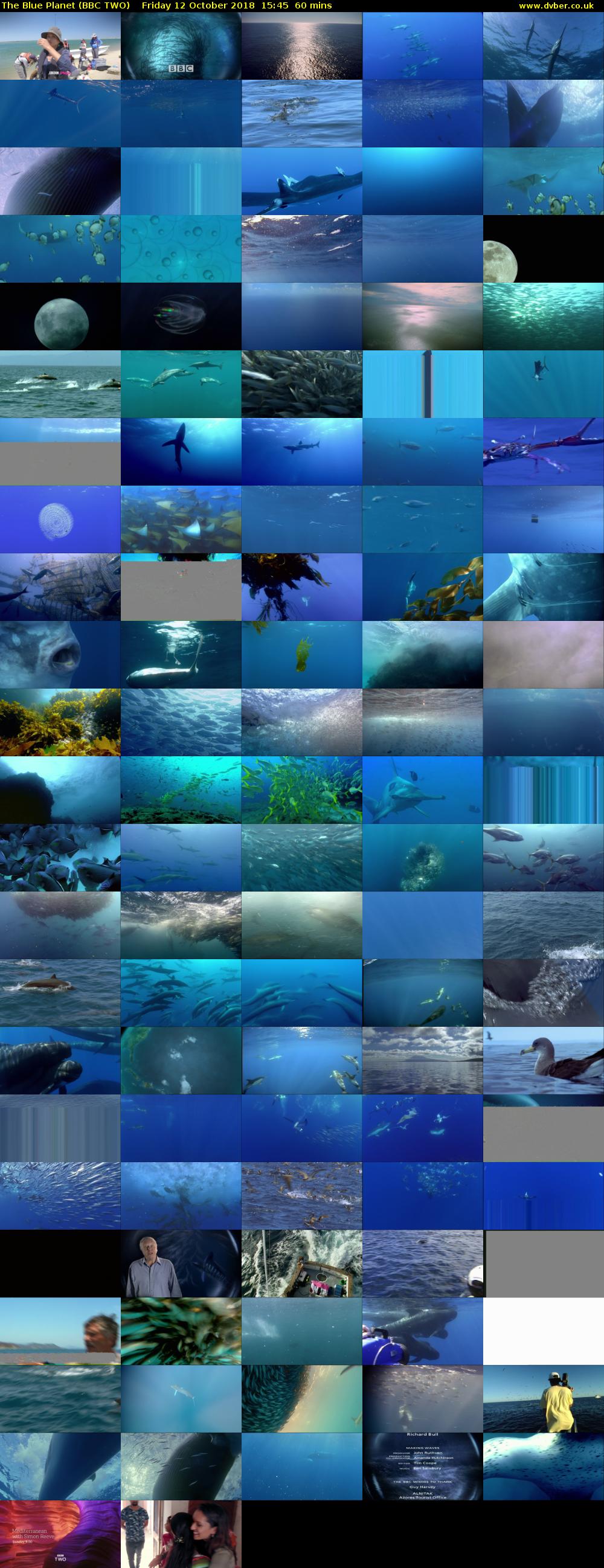 The Blue Planet (BBC TWO) Friday 12 October 2018 15:45 - 16:45