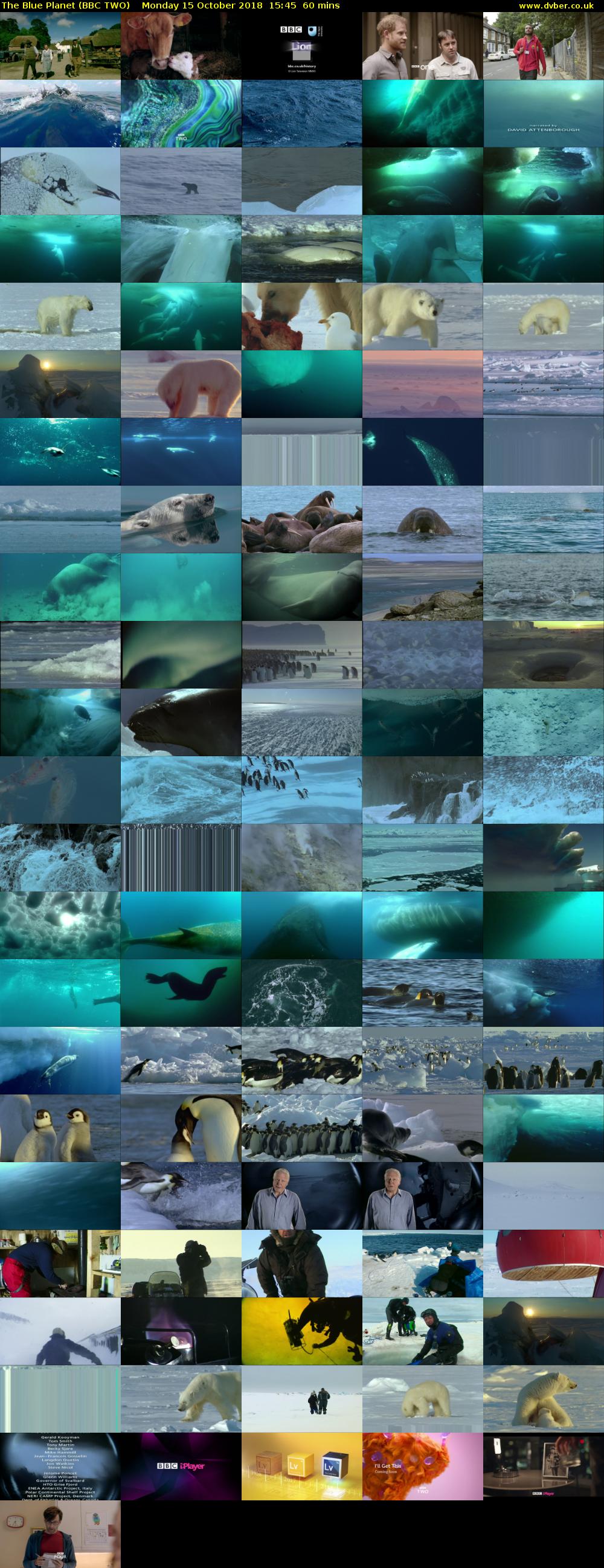 The Blue Planet (BBC TWO) Monday 15 October 2018 15:45 - 16:45