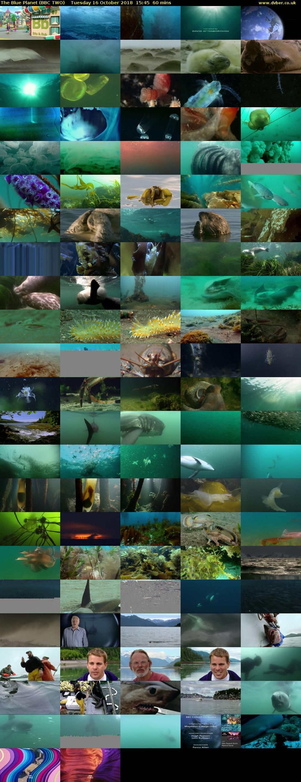 The Blue Planet (BBC TWO) Tuesday 16 October 2018 15:45 - 16:45