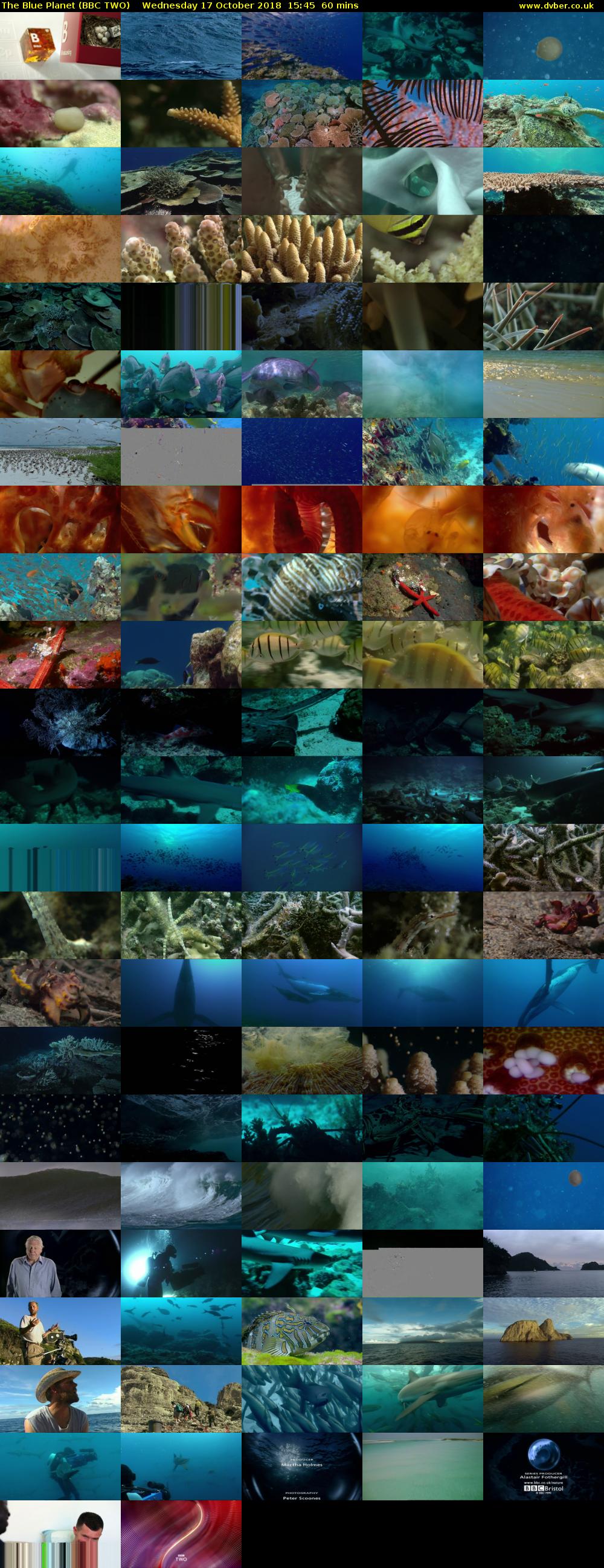 The Blue Planet (BBC TWO) Wednesday 17 October 2018 15:45 - 16:45