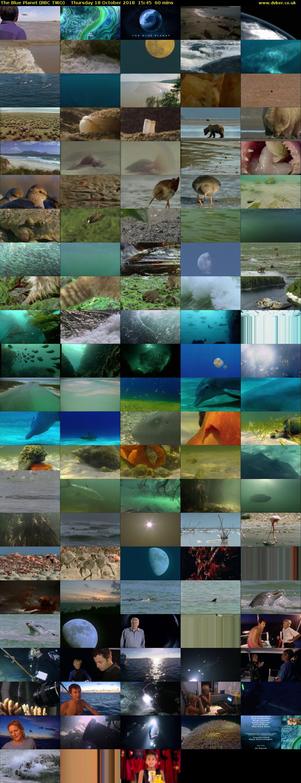 The Blue Planet (BBC TWO) Thursday 18 October 2018 15:45 - 16:45