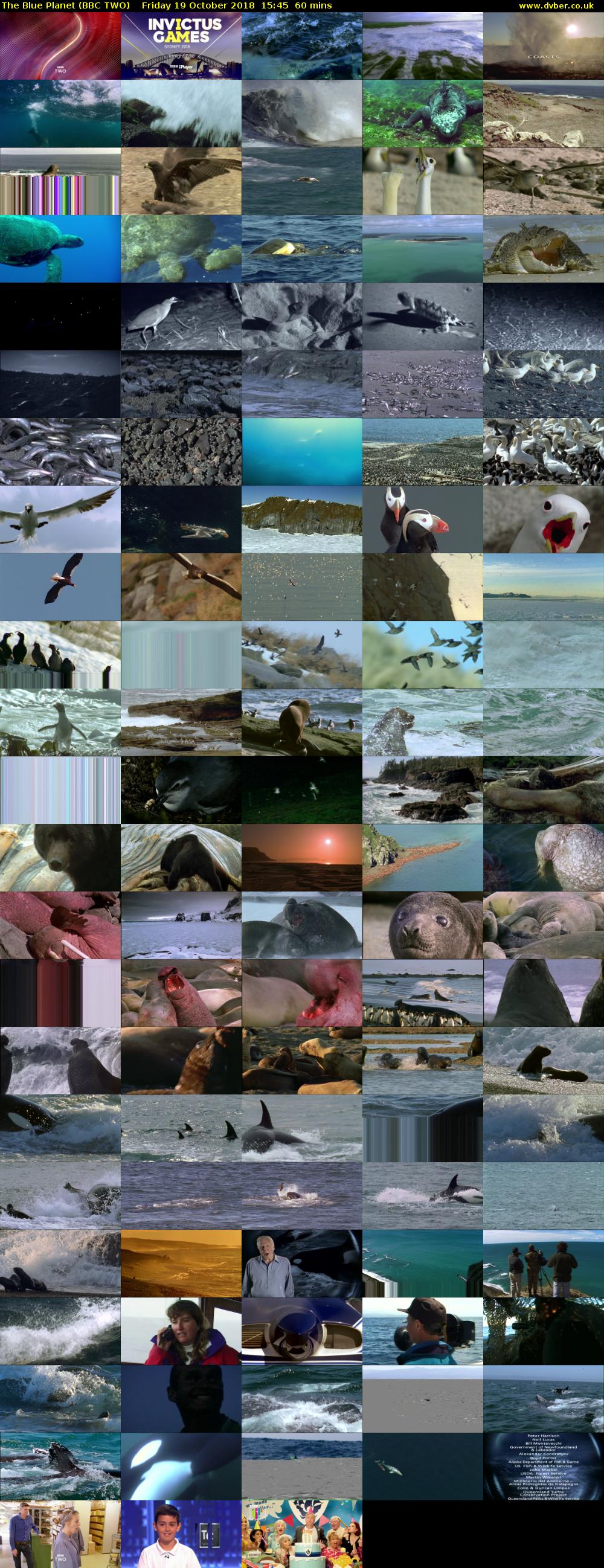 The Blue Planet (BBC TWO) Friday 19 October 2018 15:45 - 16:45