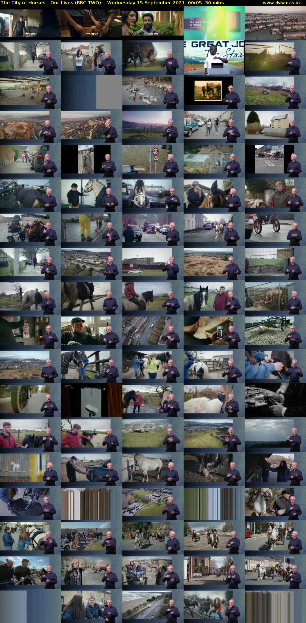 The City of Horses - Our Lives (BBC TWO) Wednesday 15 September 2021 00:05 - 00:35