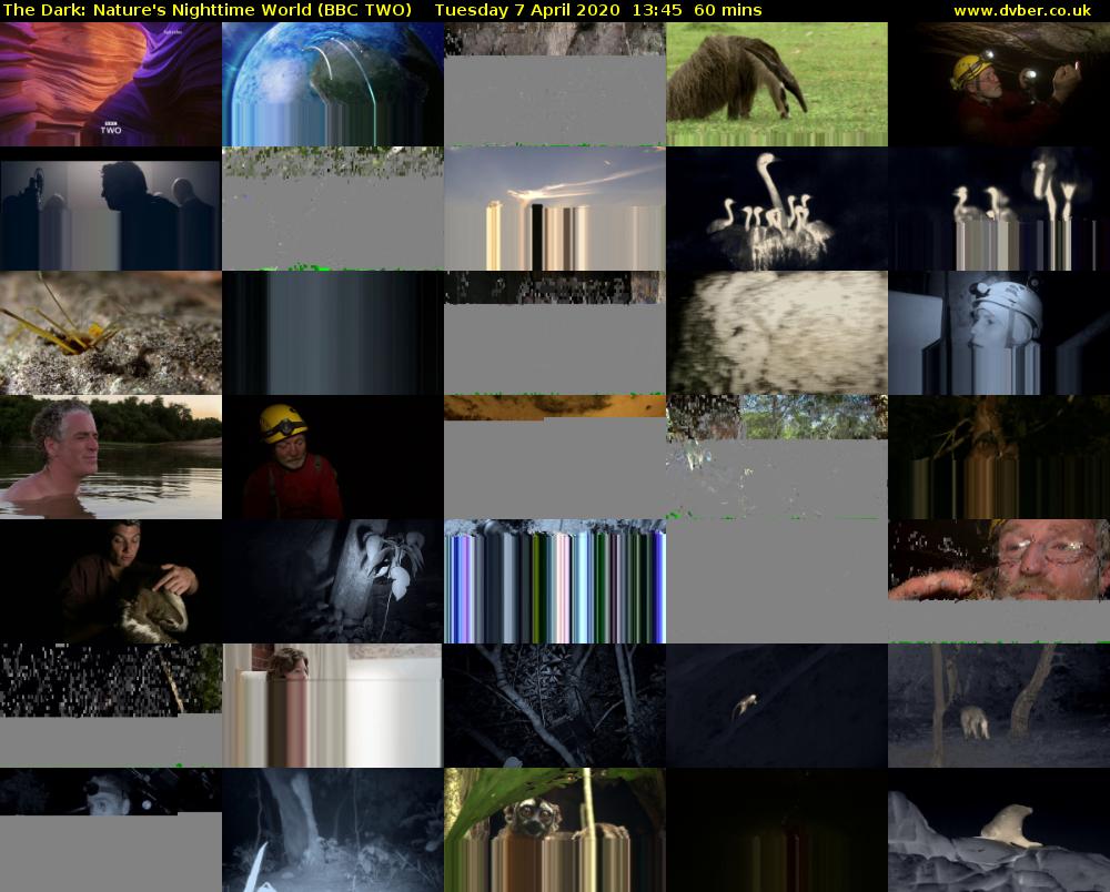 The Dark: Nature's Nighttime World (BBC TWO) Tuesday 7 April 2020 13:45 - 14:45