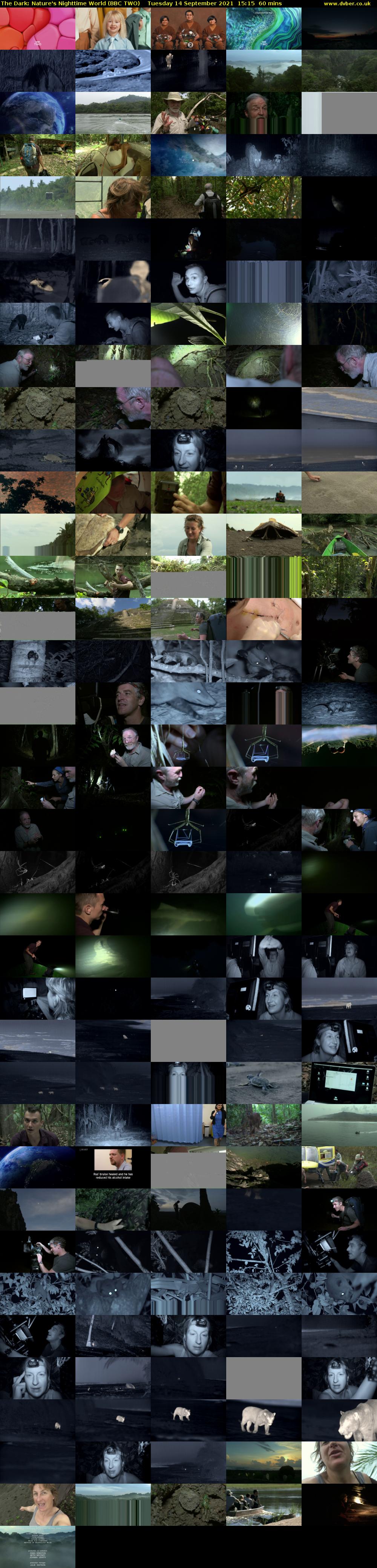 The Dark: Nature's Nighttime World (BBC TWO) Tuesday 14 September 2021 15:15 - 16:15