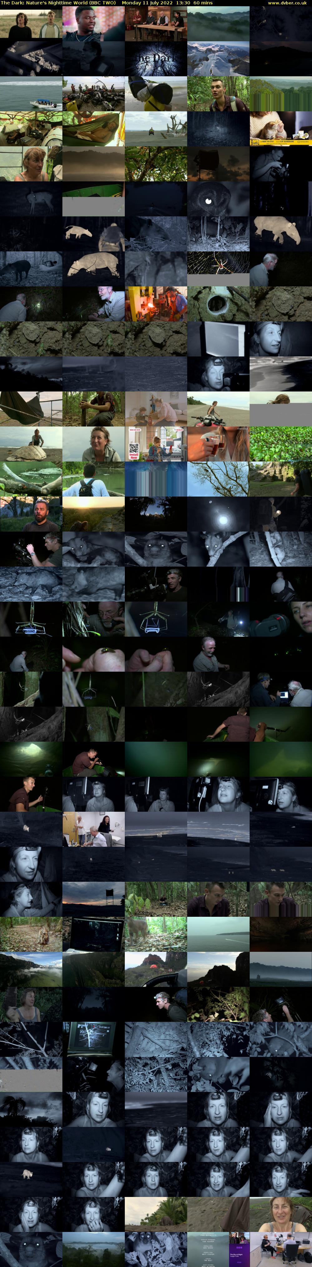 The Dark: Nature's Nighttime World (BBC TWO) Monday 11 July 2022 13:30 - 14:30