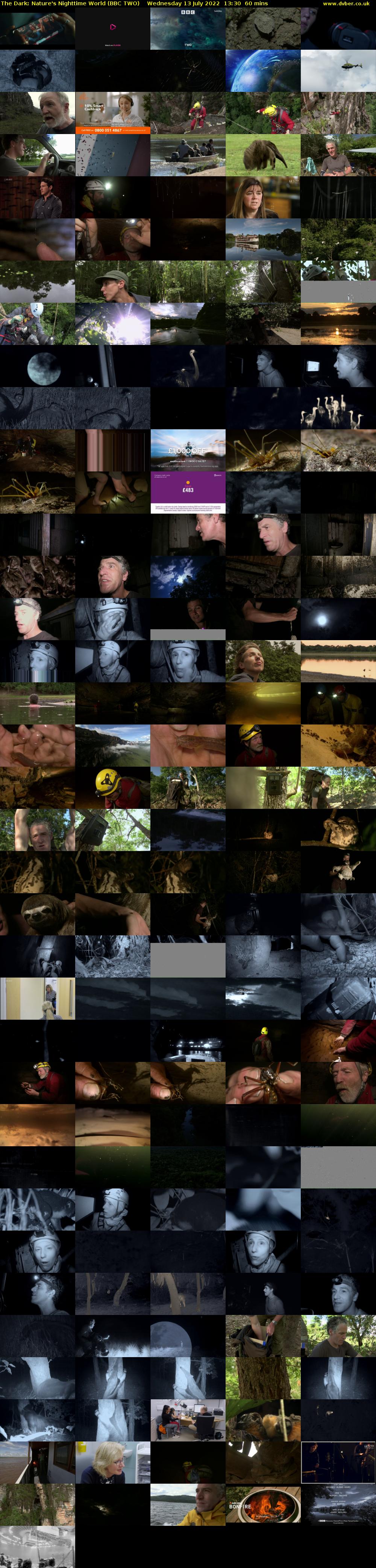 The Dark: Nature's Nighttime World (BBC TWO) Wednesday 13 July 2022 13:30 - 14:30