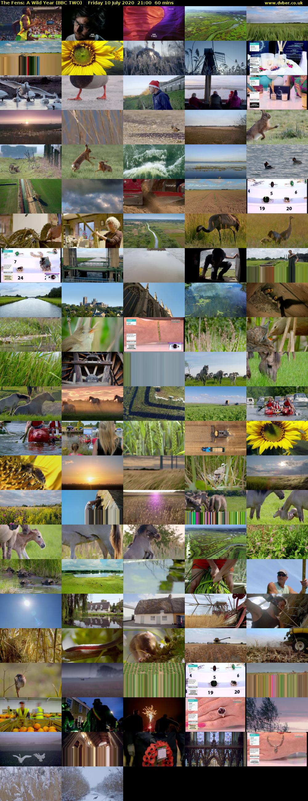 The Fens: A Wild Year (BBC TWO) Friday 10 July 2020 21:00 - 22:00