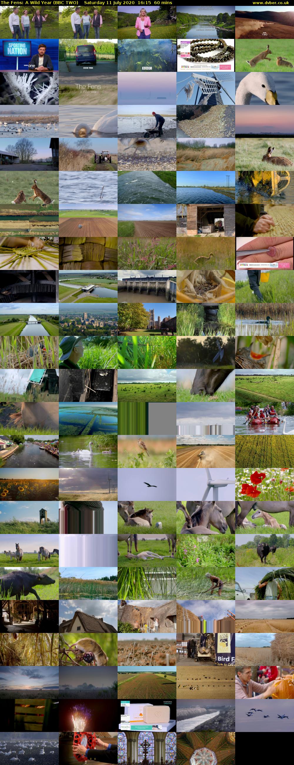 The Fens: A Wild Year (BBC TWO) Saturday 11 July 2020 16:15 - 17:15