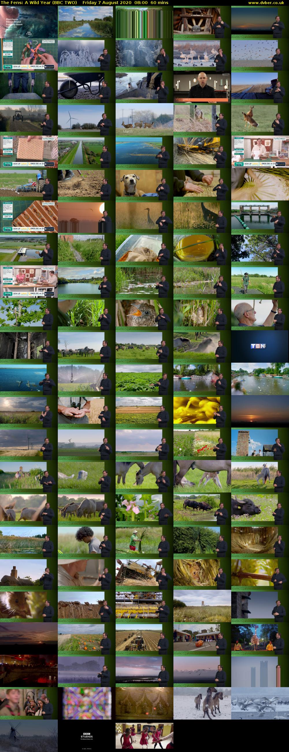 The Fens: A Wild Year (BBC TWO) Friday 7 August 2020 08:00 - 09:00