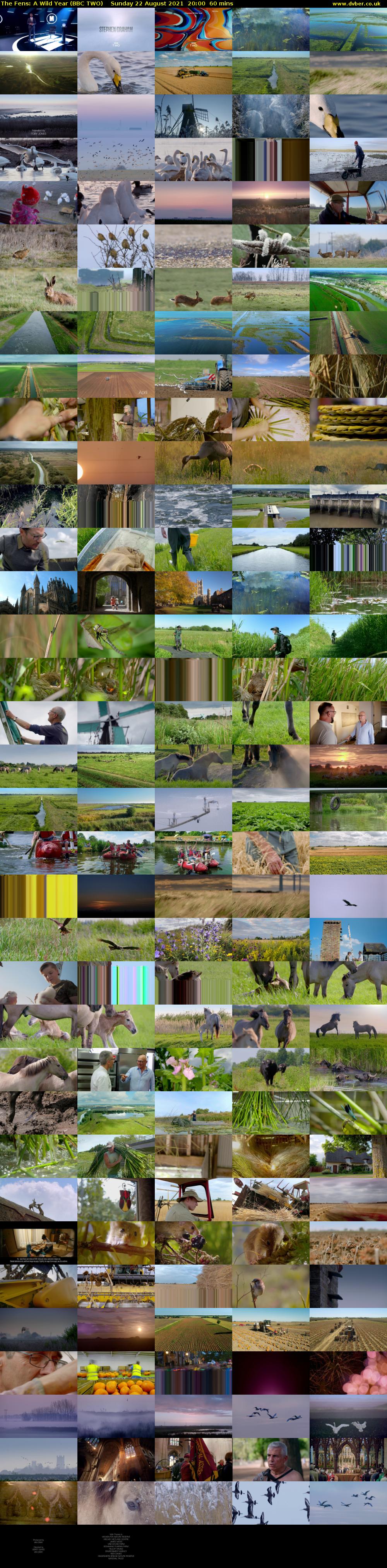 The Fens: A Wild Year (BBC TWO) Sunday 22 August 2021 20:00 - 21:00