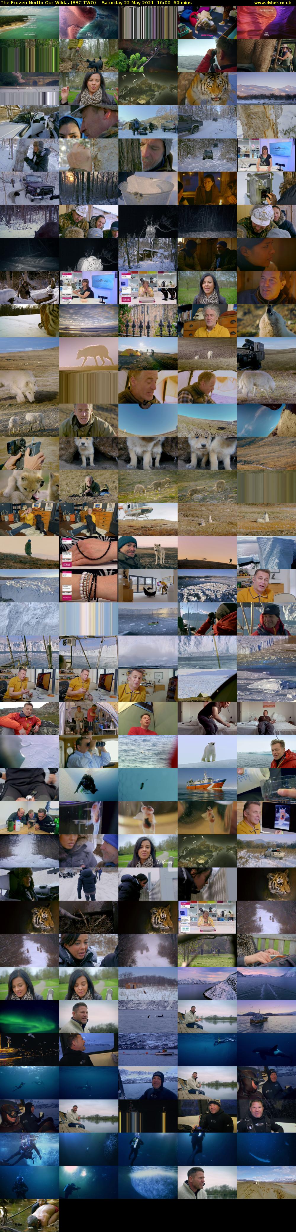 The Frozen North: Our Wild... (BBC TWO) Saturday 22 May 2021 16:00 - 17:00