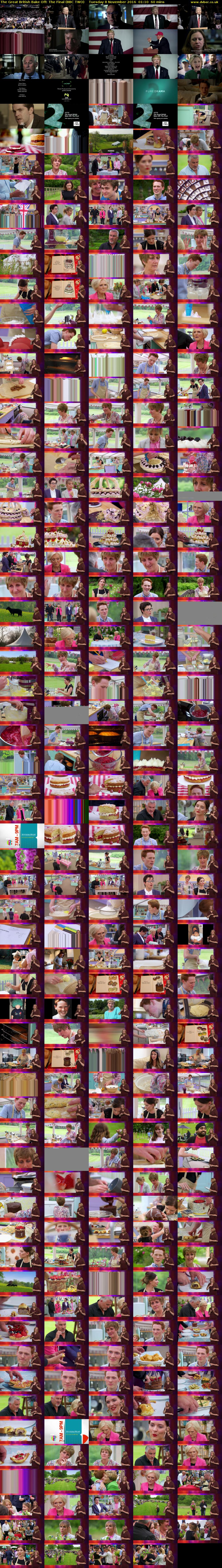 The Great British Bake Off: The Final (BBC TWO) Tuesday 8 November 2016 01:10 - 02:10