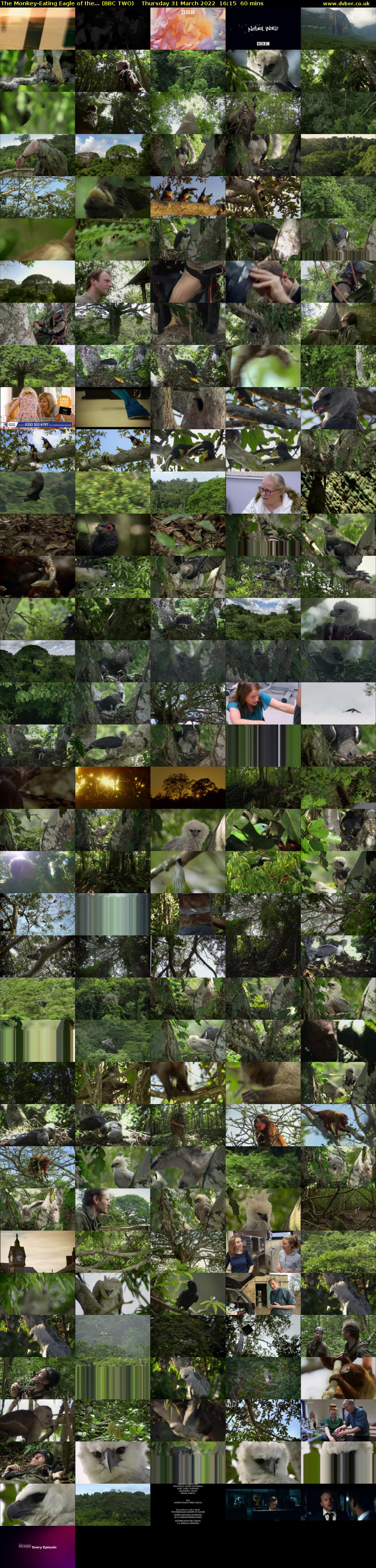 The Monkey-Eating Eagle of the... (BBC TWO) Thursday 31 March 2022 16:15 - 17:15