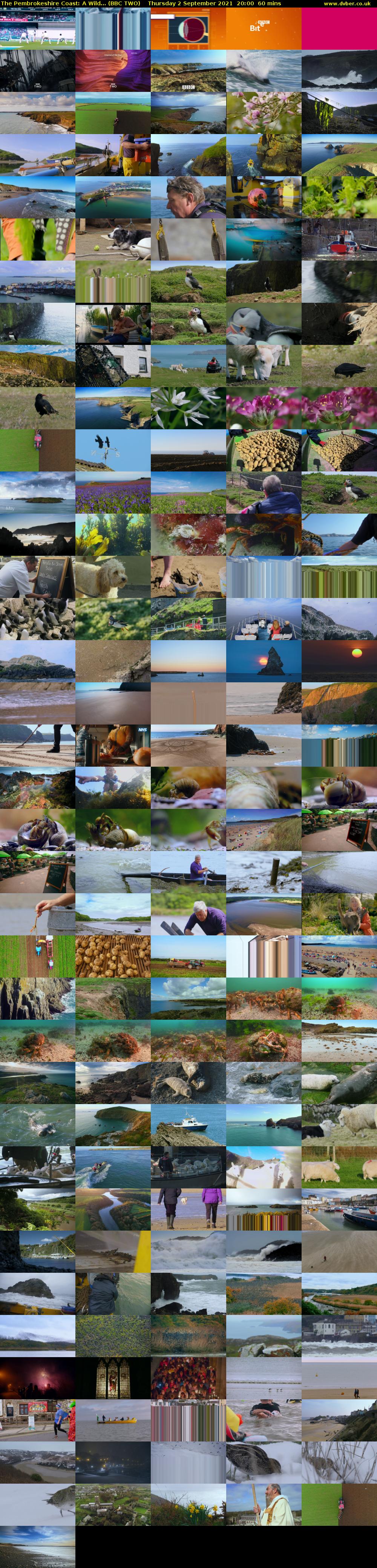 The Pembrokeshire Coast: A Wild... (BBC TWO) Thursday 2 September 2021 20:00 - 21:00