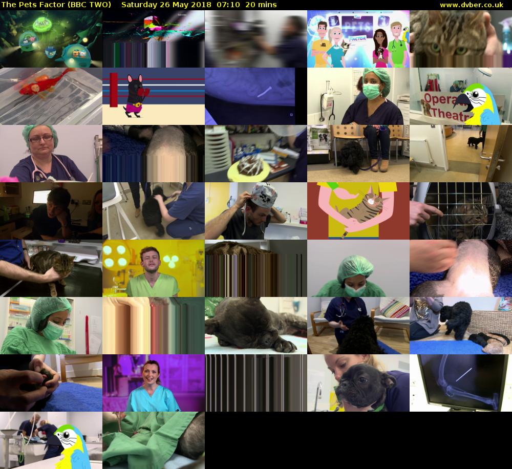 The Pets Factor (BBC TWO) Saturday 26 May 2018 07:10 - 07:30