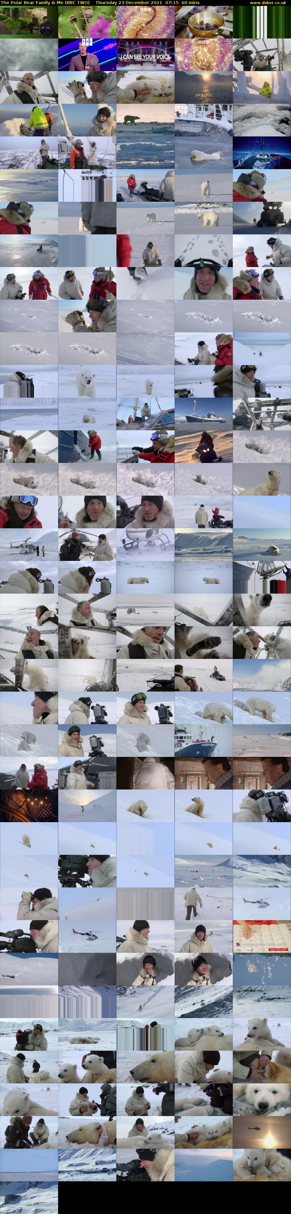 The Polar Bear Family & Me (BBC TWO) Thursday 23 December 2021 07:15 - 08:15