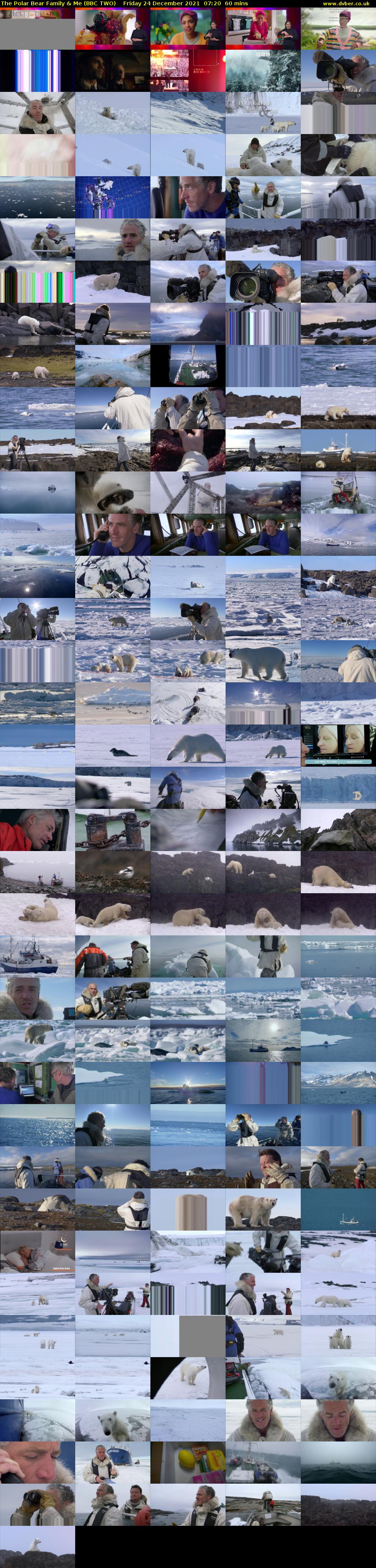 The Polar Bear Family & Me (BBC TWO) Friday 24 December 2021 07:20 - 08:20
