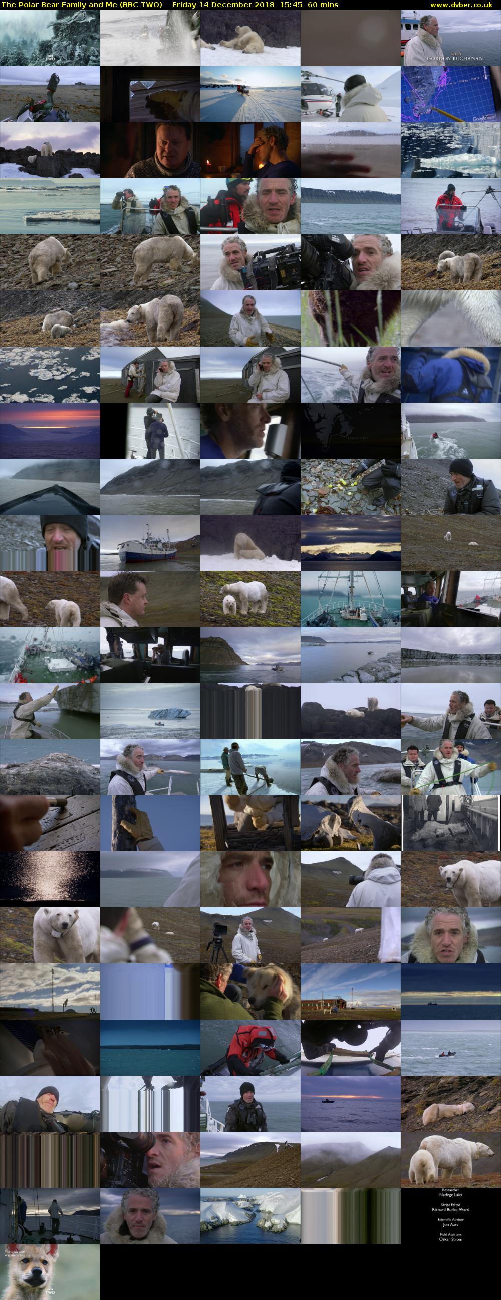 The Polar Bear Family and Me (BBC TWO) Friday 14 December 2018 15:45 - 16:45