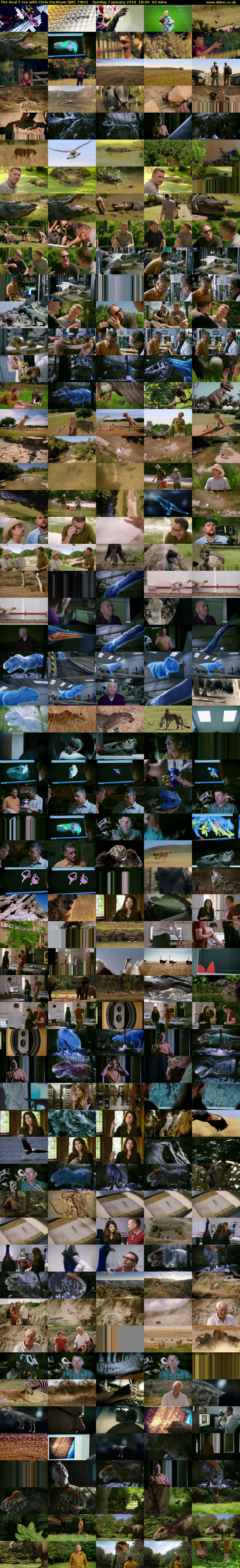 The Real T rex with Chris Packham (BBC TWO) Sunday 7 January 2018 18:00 - 19:00