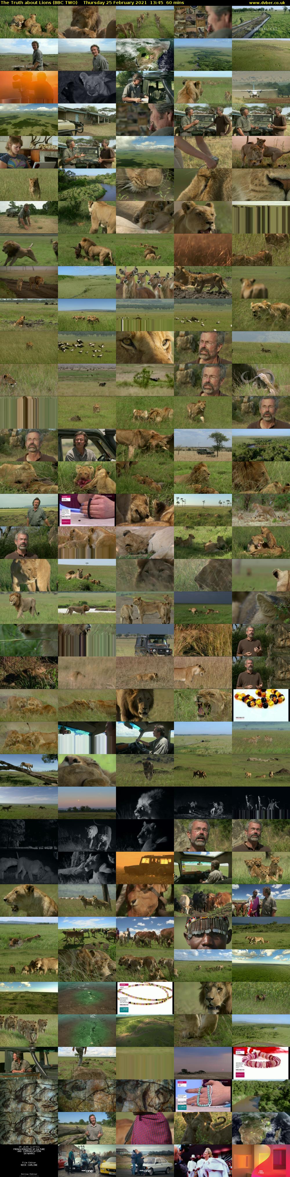 The Truth about Lions (BBC TWO) Thursday 25 February 2021 13:45 - 14:45