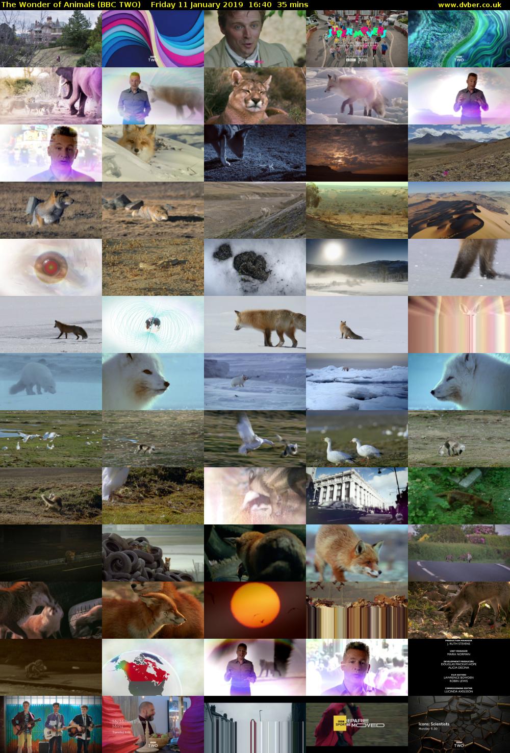 The Wonder of Animals (BBC TWO) Friday 11 January 2019 16:40 - 17:15