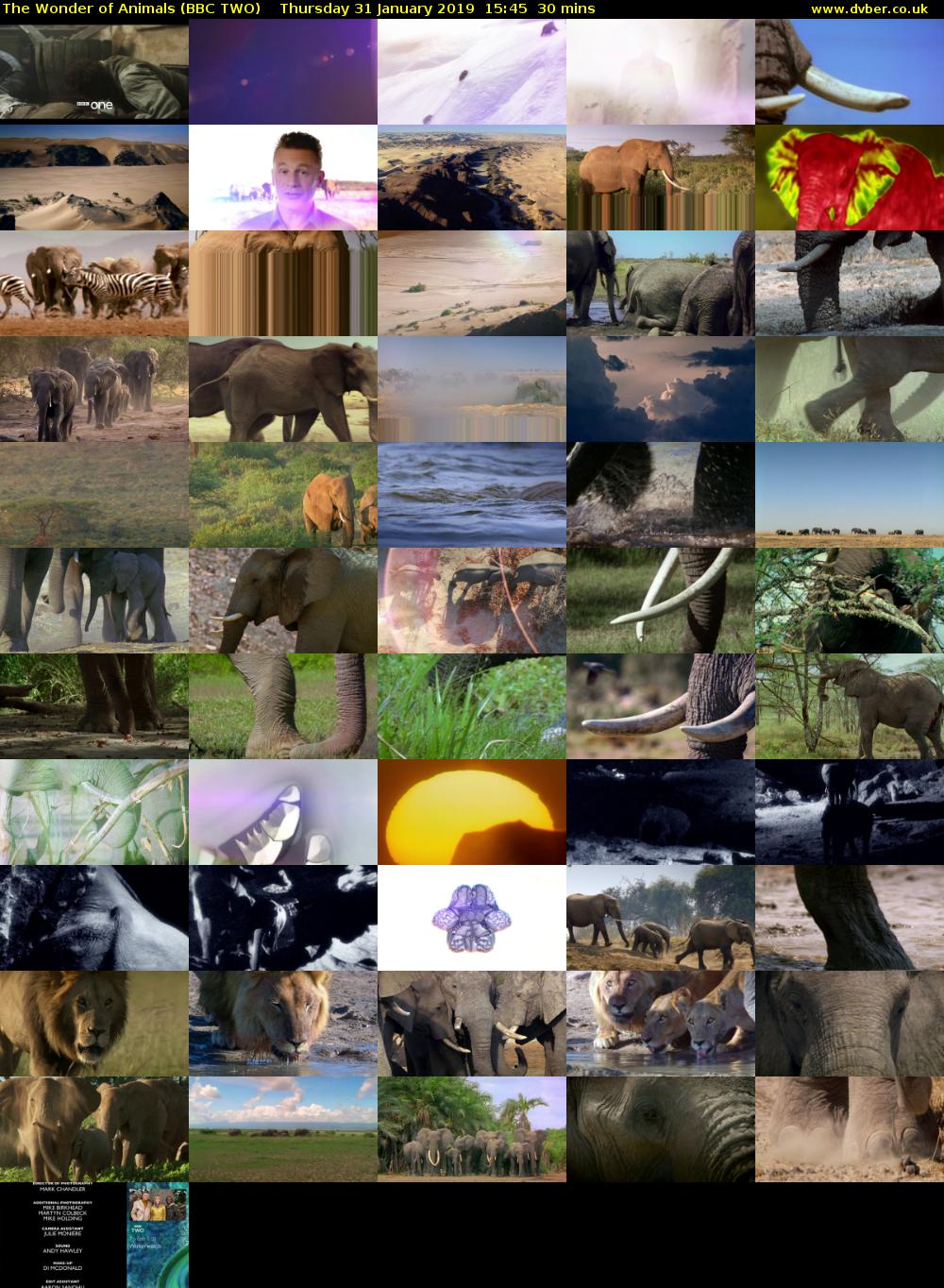 The Wonder of Animals (BBC TWO) Thursday 31 January 2019 15:45 - 16:15