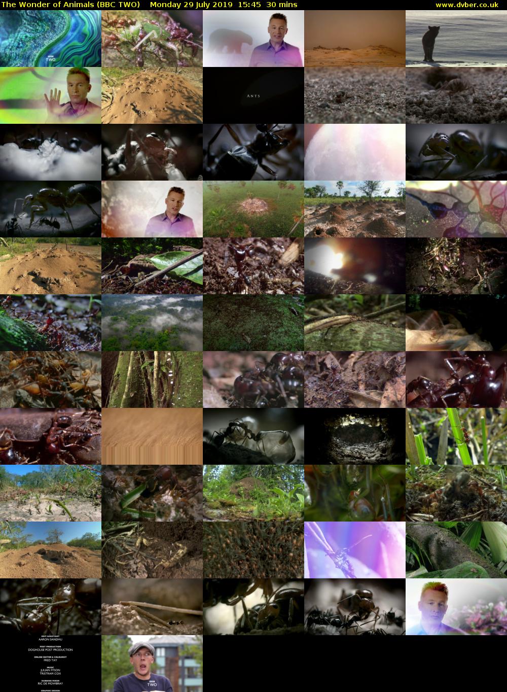 The Wonder of Animals (BBC TWO) Monday 29 July 2019 15:45 - 16:15