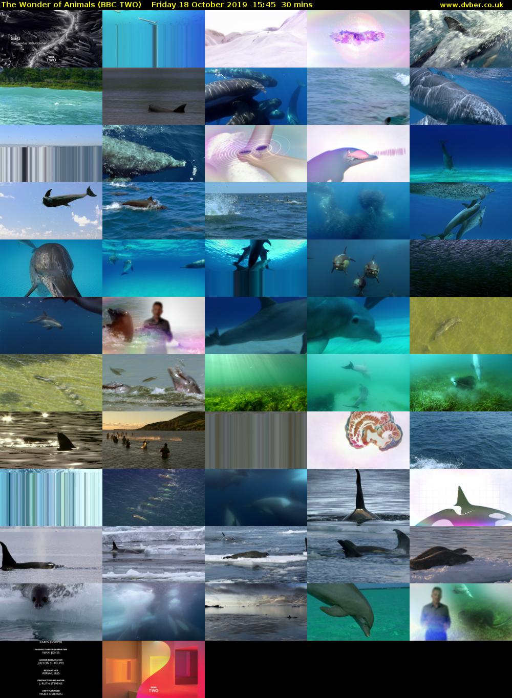 The Wonder of Animals (BBC TWO) Friday 18 October 2019 15:45 - 16:15
