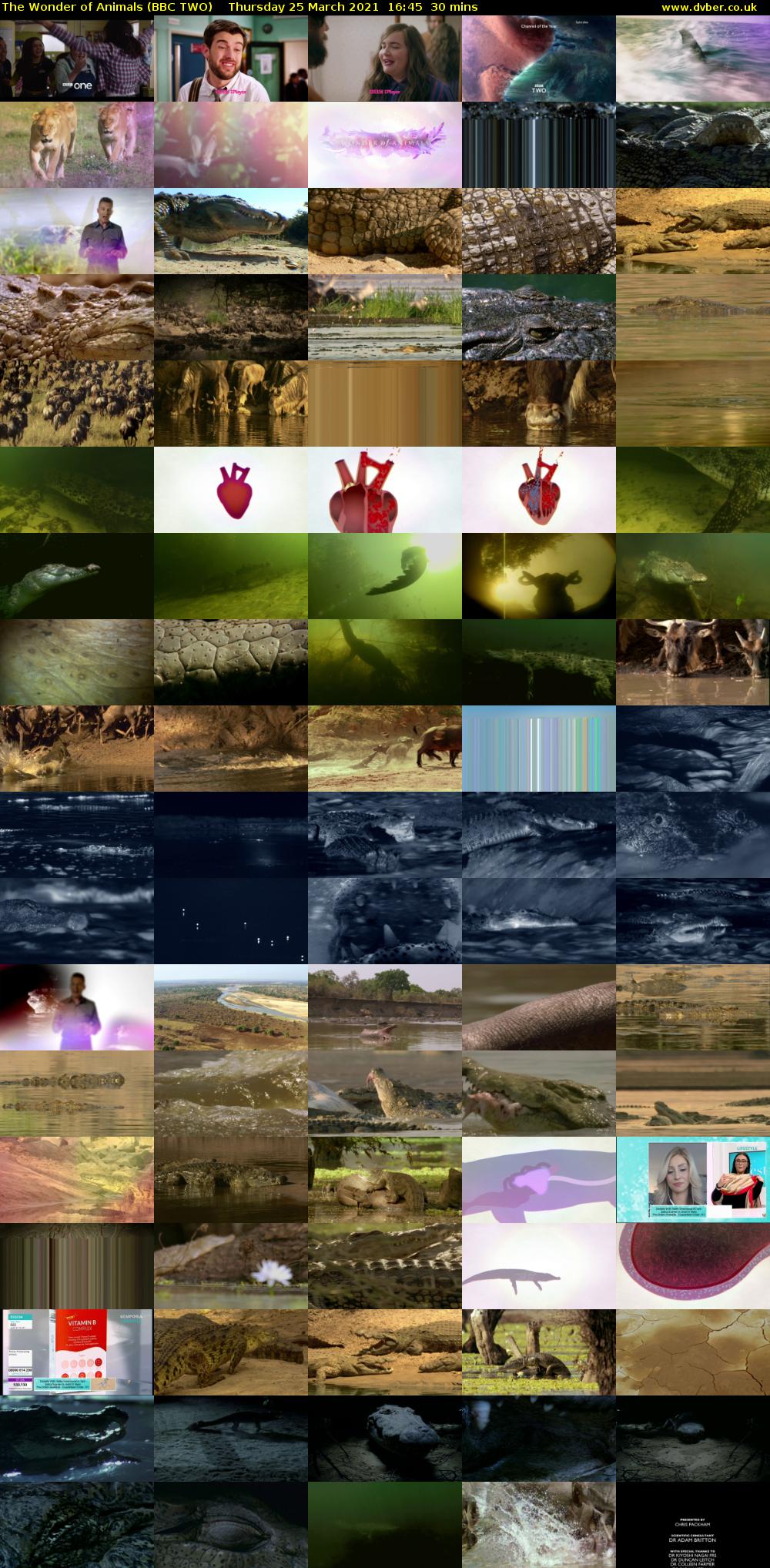 The Wonder of Animals (BBC TWO) Thursday 25 March 2021 16:45 - 17:15