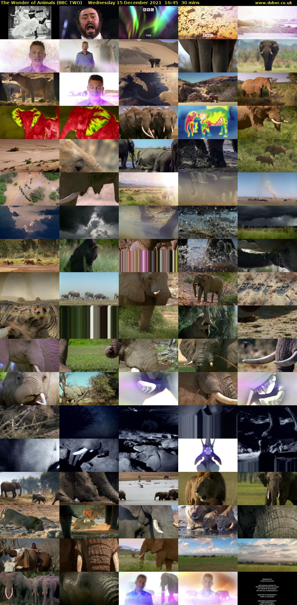 The Wonder of Animals (BBC TWO) Wednesday 15 December 2021 16:45 - 17:15