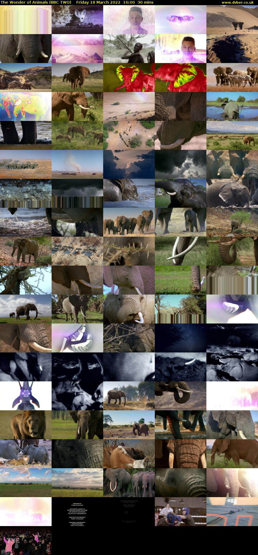 The Wonder of Animals (BBC TWO) Friday 18 March 2022 16:00 - 16:30