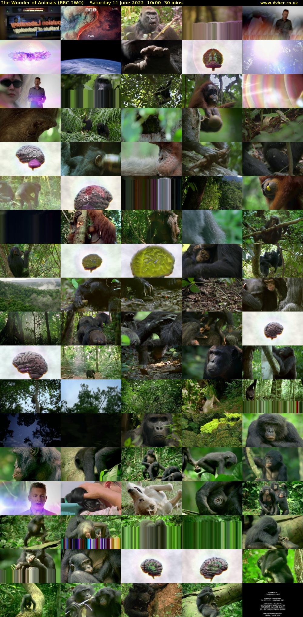 The Wonder of Animals (BBC TWO) Saturday 11 June 2022 10:00 - 10:30