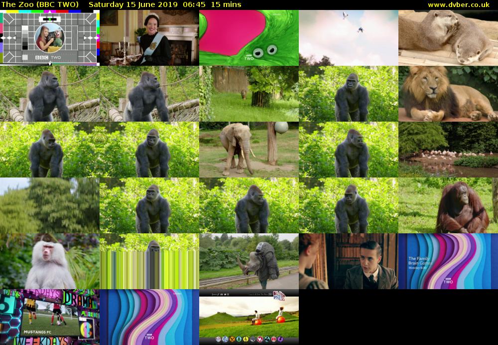 The Zoo (BBC TWO) Saturday 15 June 2019 06:45 - 07:00