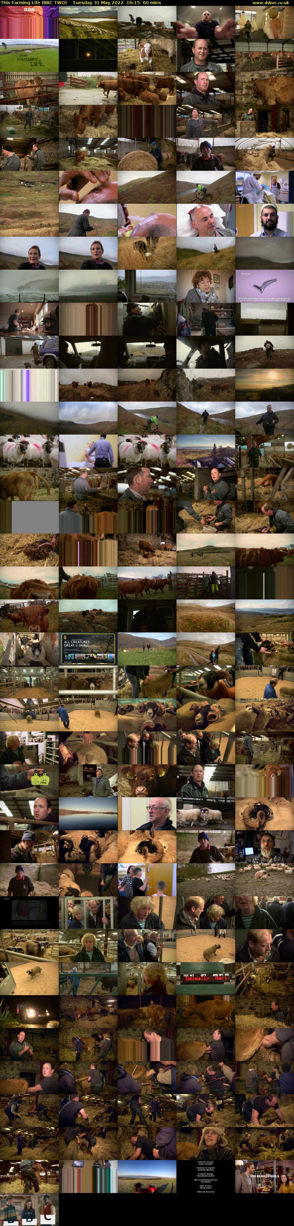 This Farming Life (BBC TWO) Tuesday 31 May 2022 16:15 - 17:15
