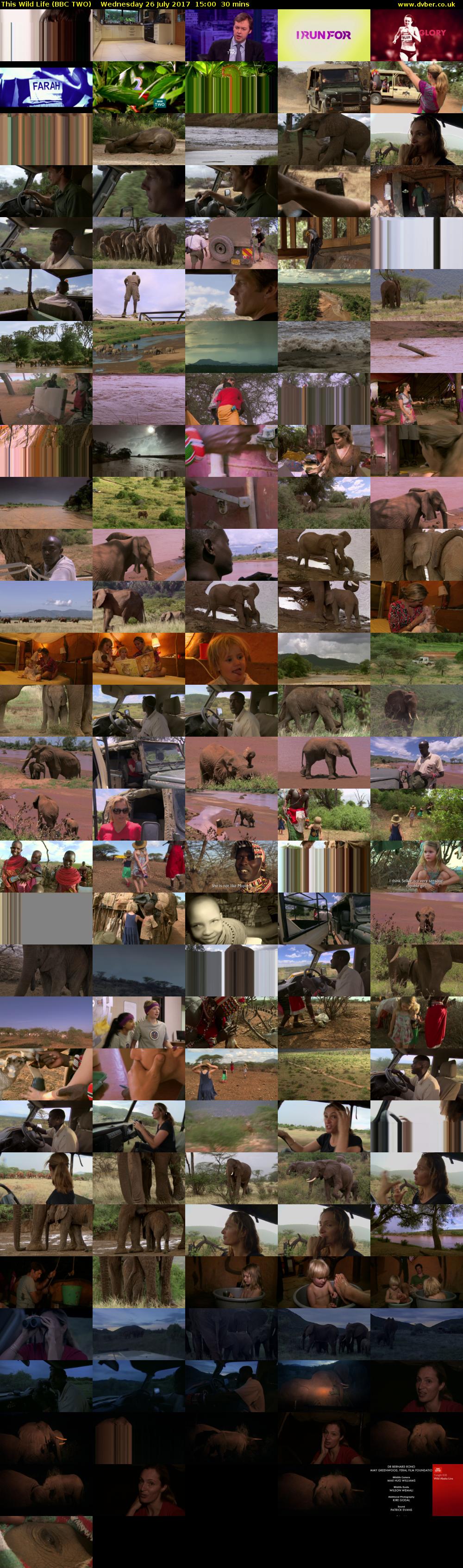 This Wild Life (BBC TWO) Wednesday 26 July 2017 15:00 - 15:30