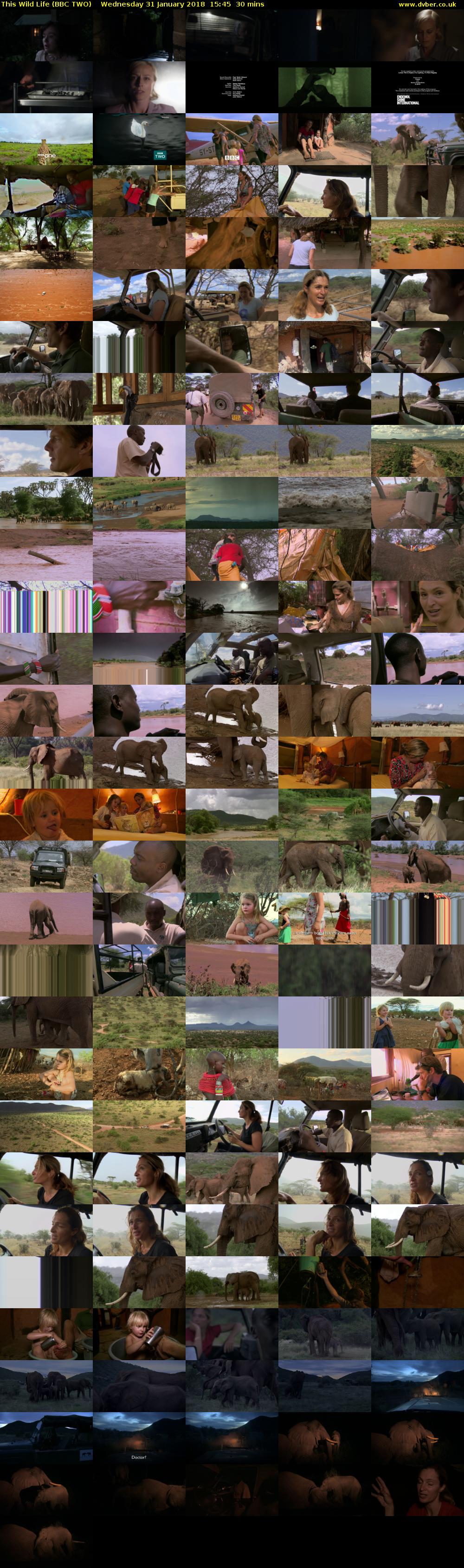 This Wild Life (BBC TWO) Wednesday 31 January 2018 15:45 - 16:15