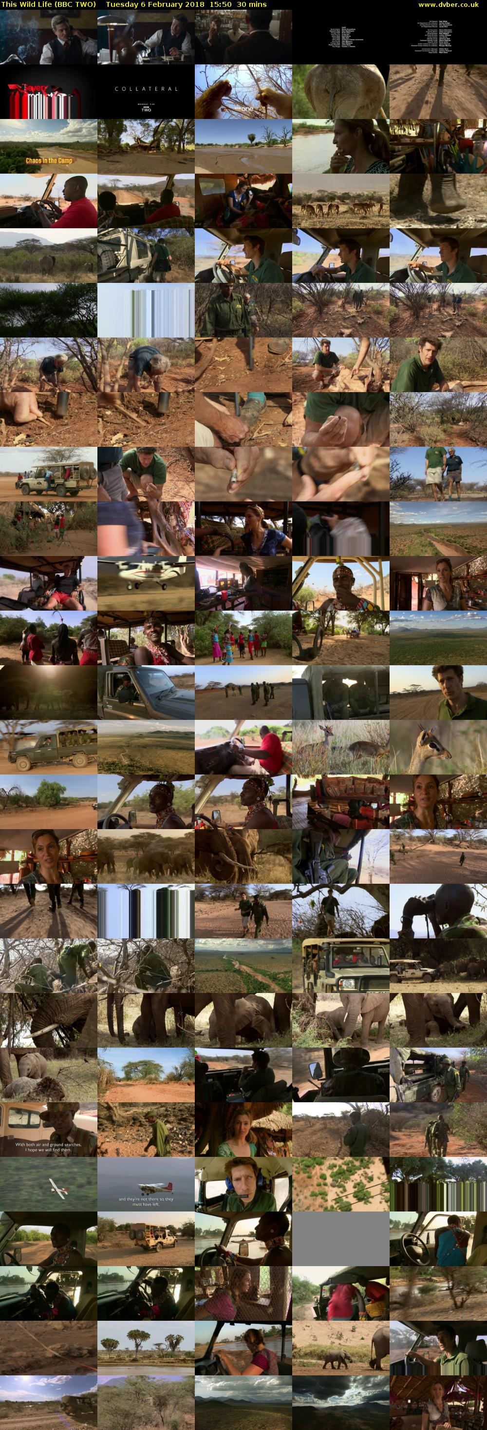 This Wild Life (BBC TWO) Tuesday 6 February 2018 15:50 - 16:20