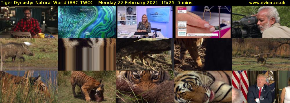 Tiger Dynasty: Natural World (BBC TWO) Monday 22 February 2021 15:25 - 15:30