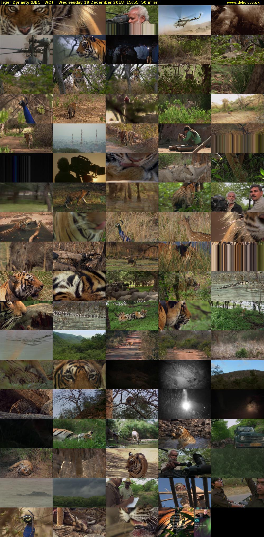 Tiger Dynasty (BBC TWO) Wednesday 19 December 2018 15:55 - 16:45