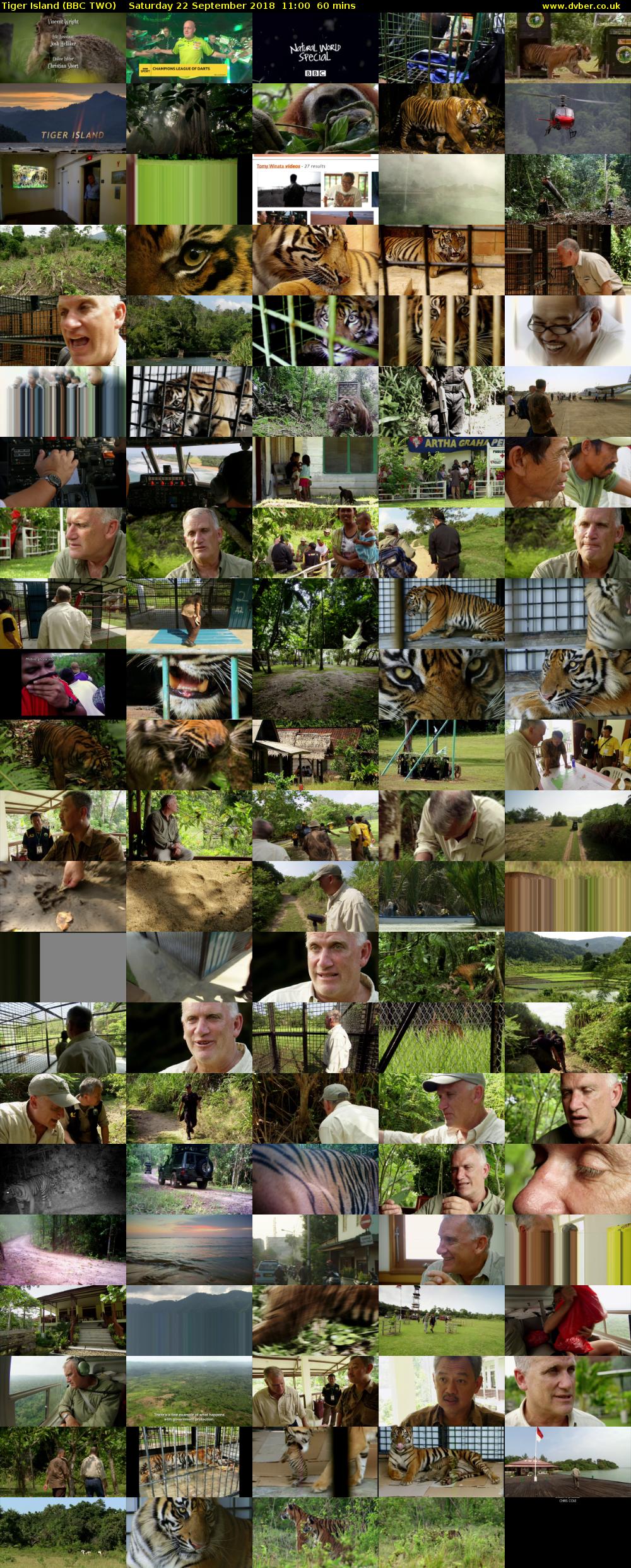 Tiger Island (BBC TWO) Saturday 22 September 2018 11:00 - 12:00
