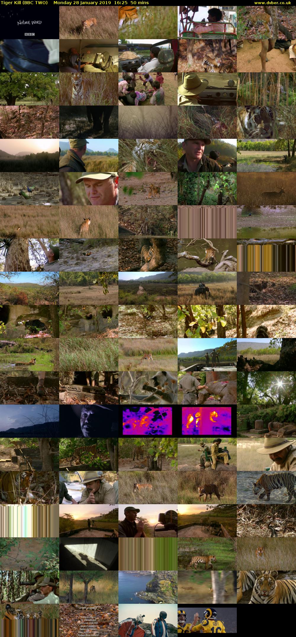 Tiger Kill (BBC TWO) Monday 28 January 2019 16:25 - 17:15