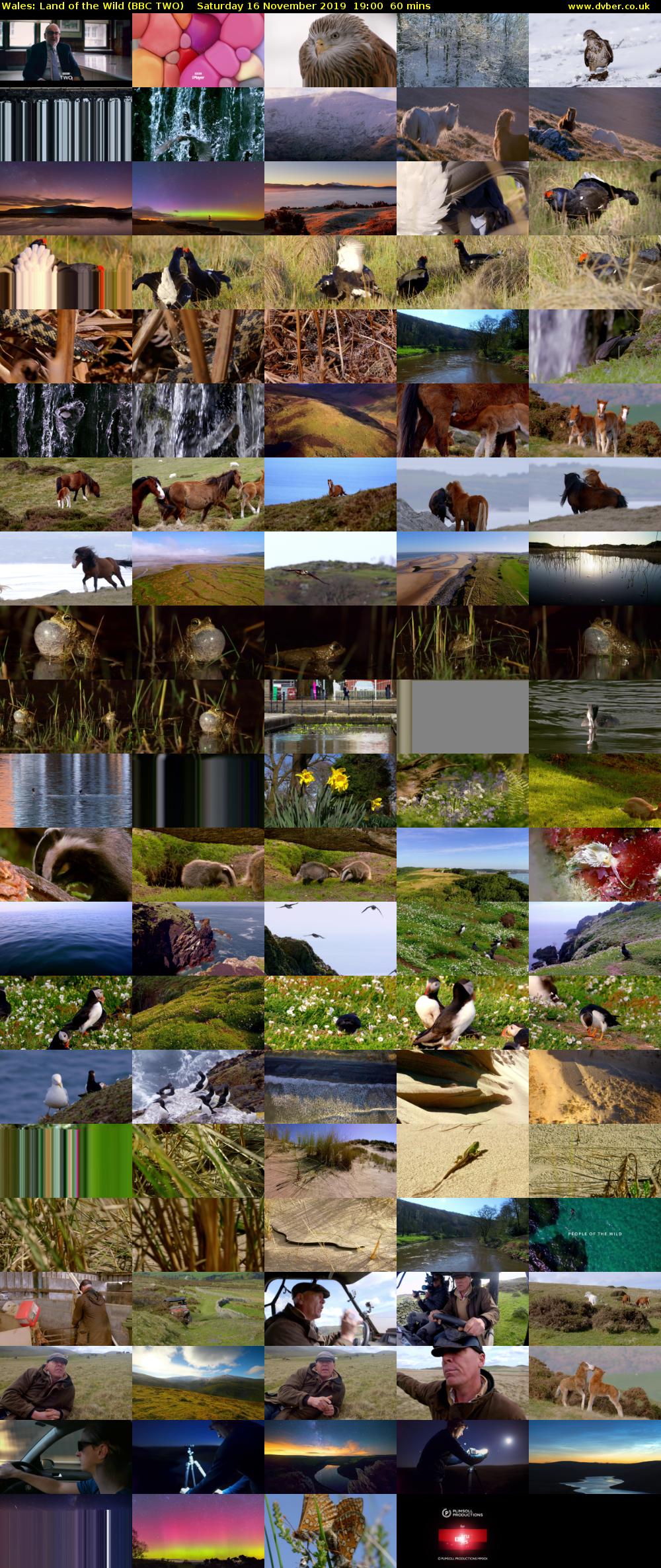 Wales: Land of the Wild (BBC TWO) Saturday 16 November 2019 19:00 - 20:00