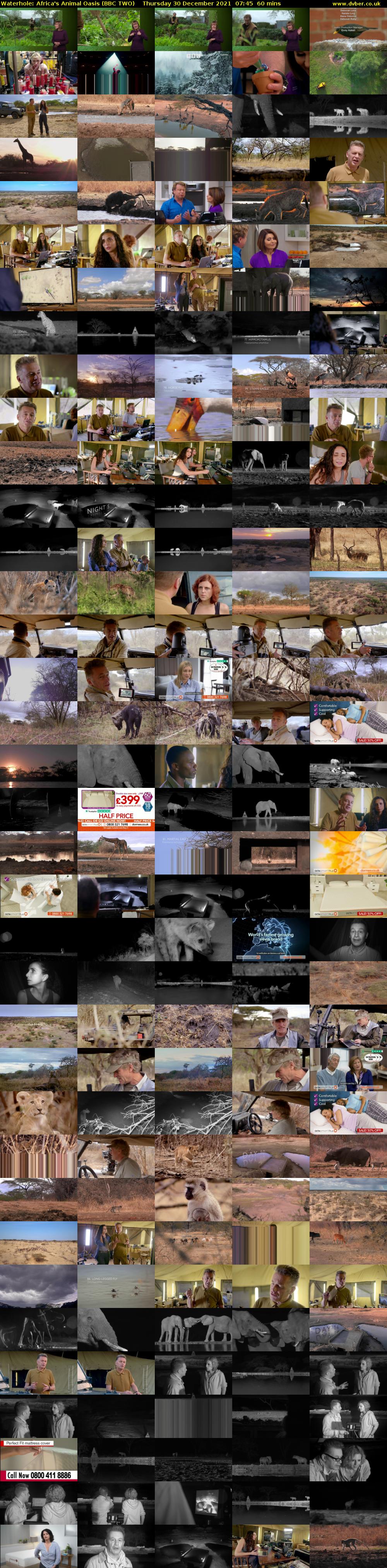 Waterhole: Africa's Animal Oasis (BBC TWO) Thursday 30 December 2021 07:45 - 08:45